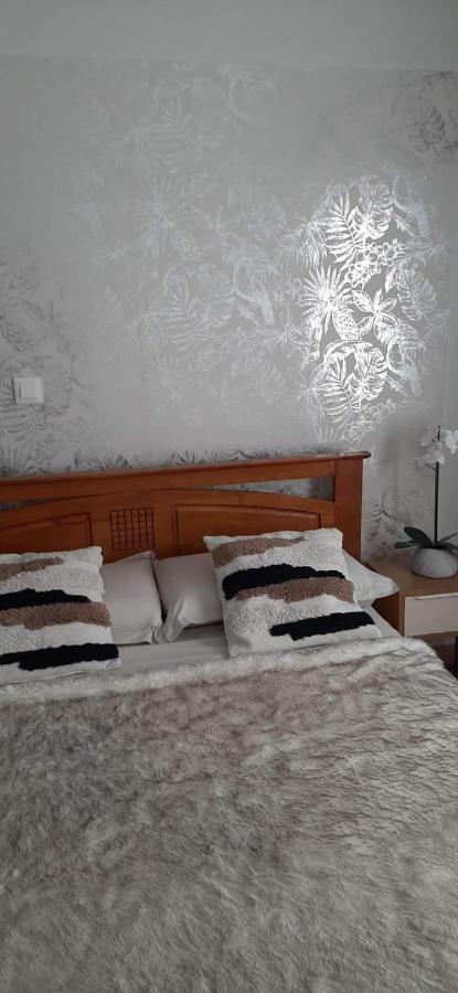 Kaz Papaye Apartment Сен-Пиер Екстериор снимка
